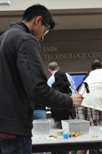 WiSTEM hosts STEM Fair during long lunch