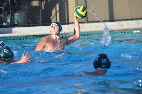 Varsity boys water polo loses to Wilcox High School