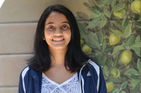 Meena Gudapati