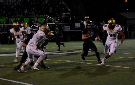 Eagles lose 7-42 on homecoming night