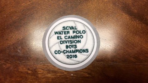 Fall athletes win league and division awards