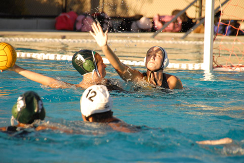 Boys and girls water polo play home opener