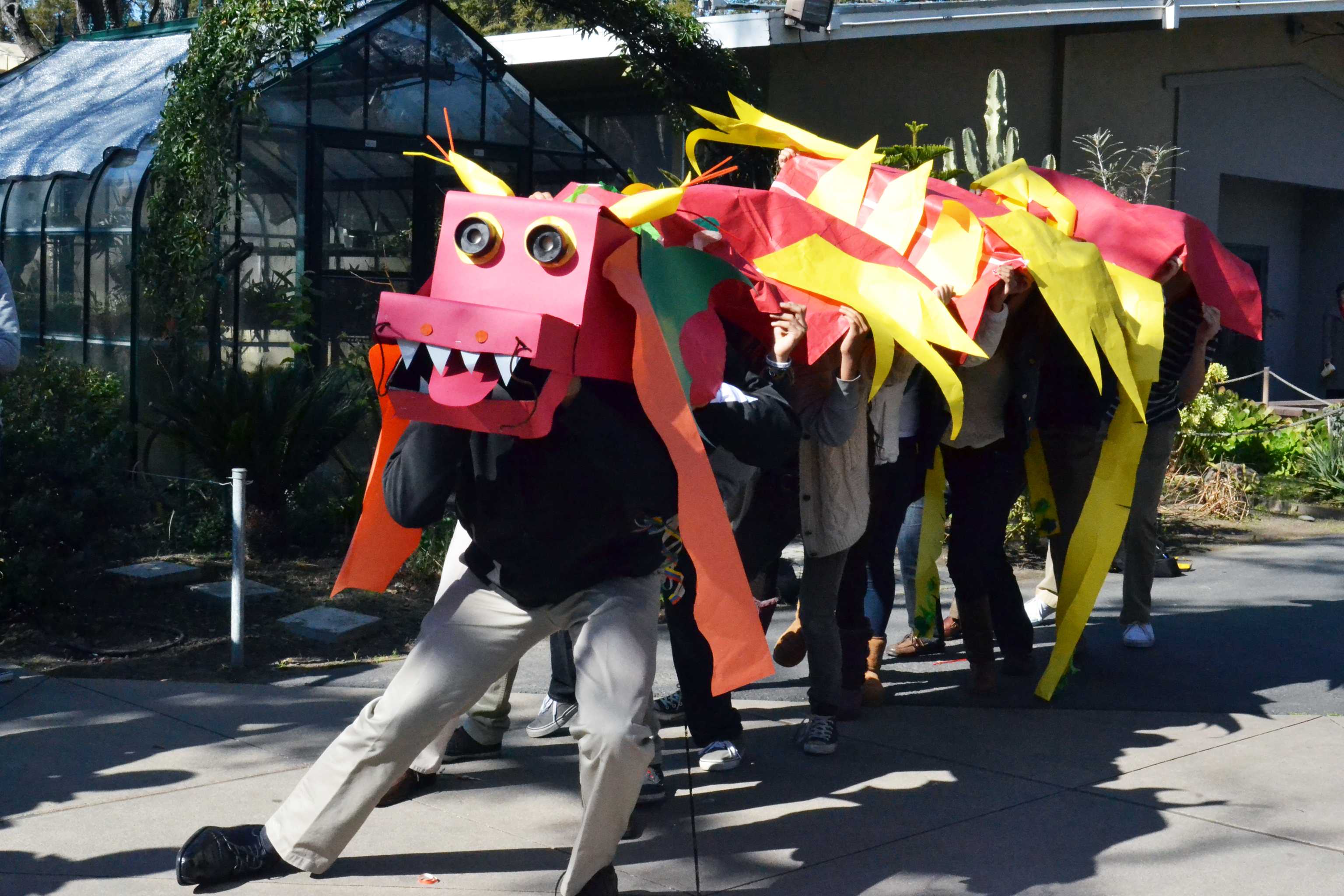 Seniors chant and dance in their brightly colored construction paper dragon. The National Chinese Honor Society prepared a dragon dancing spirit event in celebration of Chinese New Year.