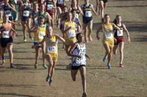 Cross country team attends final meet of the season