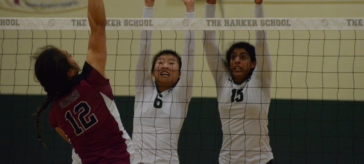 Captain Shreya Dixit and Jacqueline Chen (11) jump to block a hit from a Sacred Heart Prep opponent. The girls won 3-1 against Sacred Heart Prep in CCS Quarterfinals.