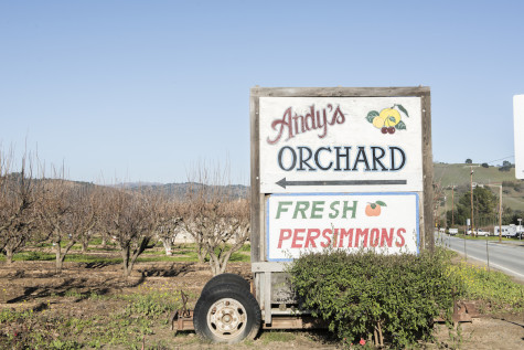Andy's Orchard is located in Morgan Hill and specializes in both fresh and dried fruits.
