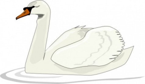 swan-swimming-clip-art_414331-2