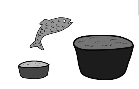 Straight Talk: Becoming a small fish in a large collegiate pond