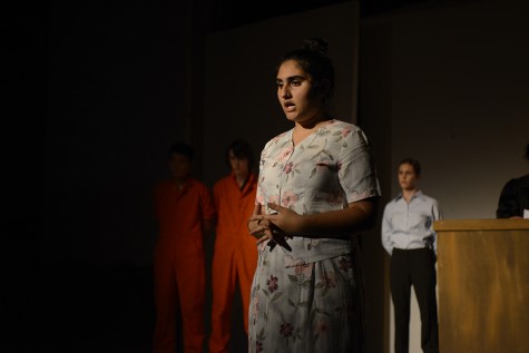 Zahra Budhwani (11) delivers a monologue. She played four roles in this year's fall play, "The Laramie Project."