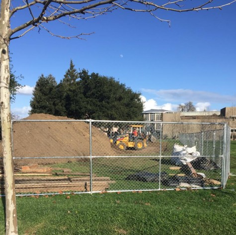 The area next to Rosenthal field, once an area for students to socialize, is fenced off so the trees can be saved before construction. Construction on the two-building Events Center begins in May.