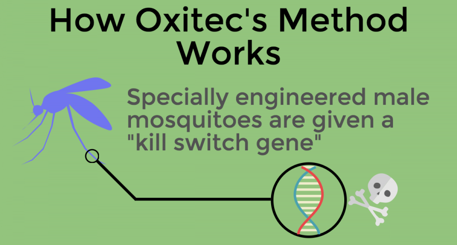 Oxitec+1
