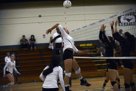 Varsity girls volleyball loses against Homestead High School in season-opener