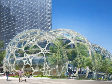 A photo of the future Amazon biospheres. The biospheres will be built at Amazons headquarters in Seattle. 