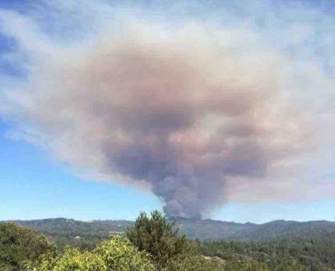 A plume of smoke could be seen from Los Gatos. The forest fire erupted at 2:45 p.m. on Monday. 