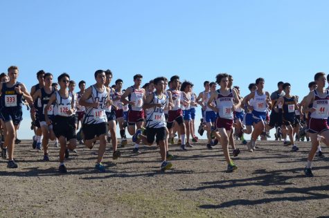 Cross Country Fall Season Recap