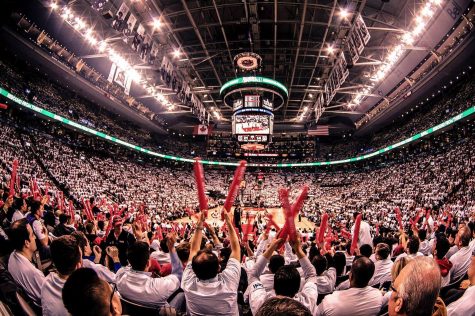 Toronto Raptors fans cheer on their team during the NBA playoffs by waving stick-shaped balloons in their team colors. Basketball teams can generate huge amounts of value for local businesses and communities. 