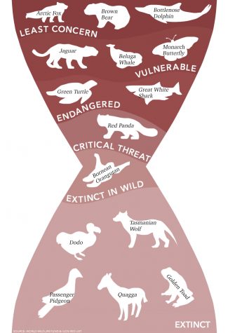 Global Reset: Holocene Extinction threatens biodiversity