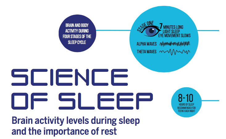 Science of Sleep: Brain activity levels during sleep and the importance of rest