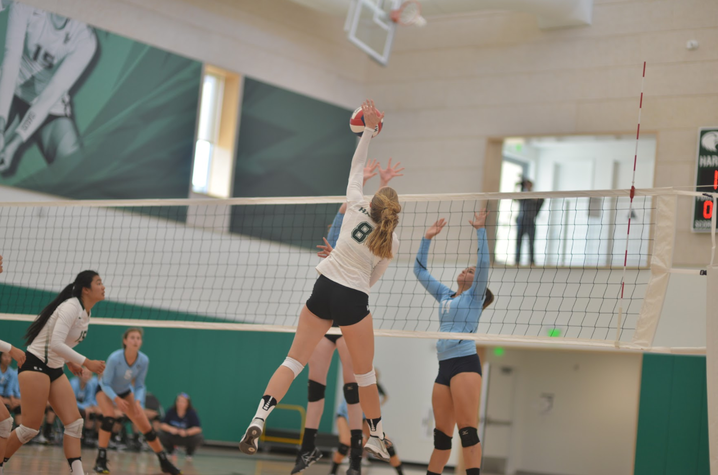 Isabella Spradlin (12) jumps up to hit the ball against the Branham Bruins. Isabella is one of five seniors on the team this season and has played on the varsity team since her sophomore year. 
