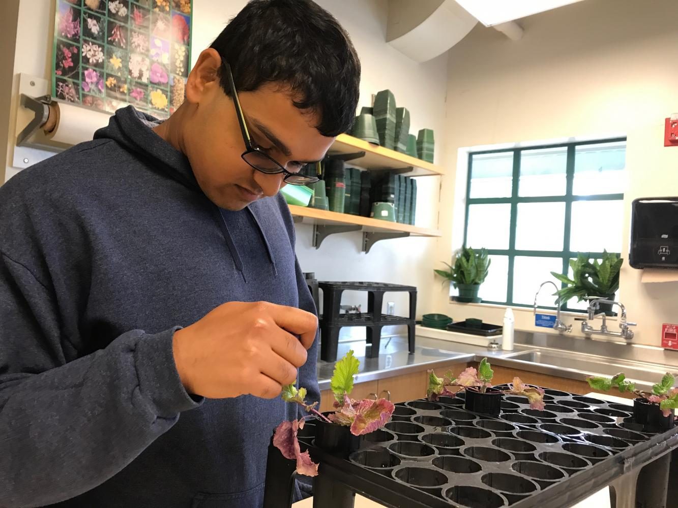 Arindam Ghosh (12) conducts daily lab work at his laboratory. Students at SIP were assigned to individual and group projects. 