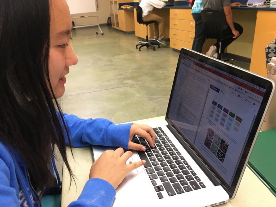 Regional finalist Katherine Tian (11) works on her research paper. Regional finalists were announced today. 