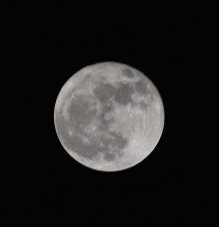 The moon at 9 p.m. PST, as viewed from California. The supermoon will be most visible during the early morning hours of Dec. 4.