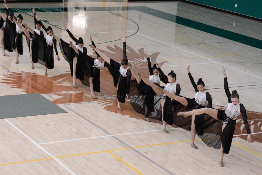 Varsity dance troupe performs the routine River Lea during todays school meeting. The group will also be performing this number at the upcoming dance showcase Just Dance on April 29 at 6 p.m. in the Rothschild Performing Arts Center.