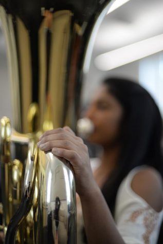 Humans of Harker: Meghana Karinthi makes the difference behind the scenes