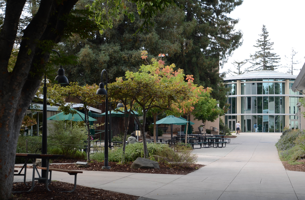 The upper school’s quad. Former Harker upper school teacher Florio was terminated in June and arrested on Aug. 16 on felony and misdemeanor charges.