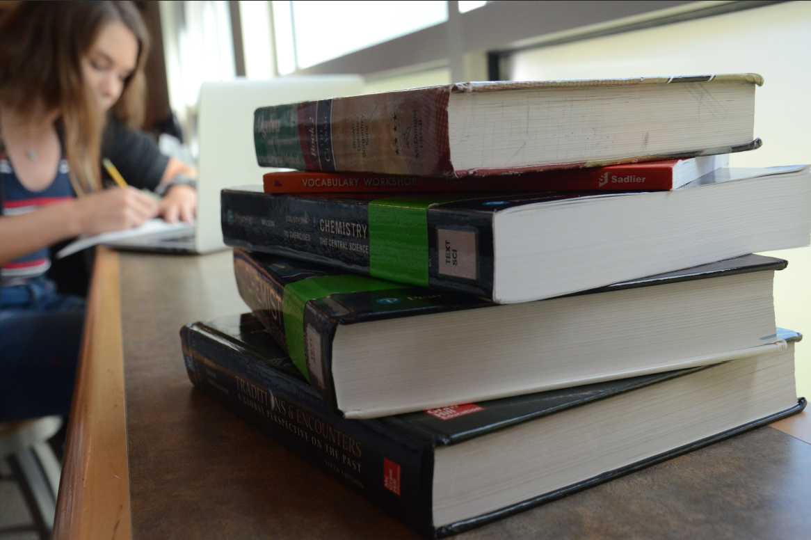 Christina Bettink (11) studies in the library. If you prefer quiet locations, the library is a great place to study during free periods, lunch or office hours.