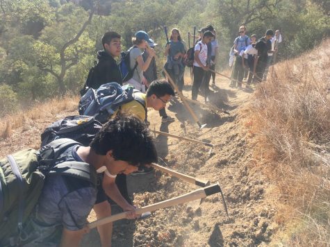 Members of the class of 2022 clear invasive plant species from the side of a trail at the Coyote Valley Open Space Preserve. The freshmen received five hours of service for their work on the annual community service trip. 