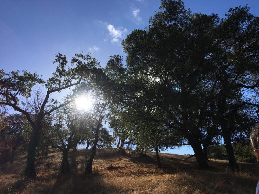 The sun shines over the hills of the Coyote Open Space Preserve, which the freshman class visited today on their annual community service trip. 