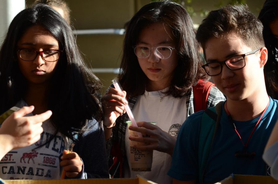 Ashna Reddy (11), Emma Li (11), and Preston Ellis (10) look towards the WiSTEM club week table. WiSTEM had  speakers, a movie screening, and fundraisers for education for girls in Kenya during its club week.