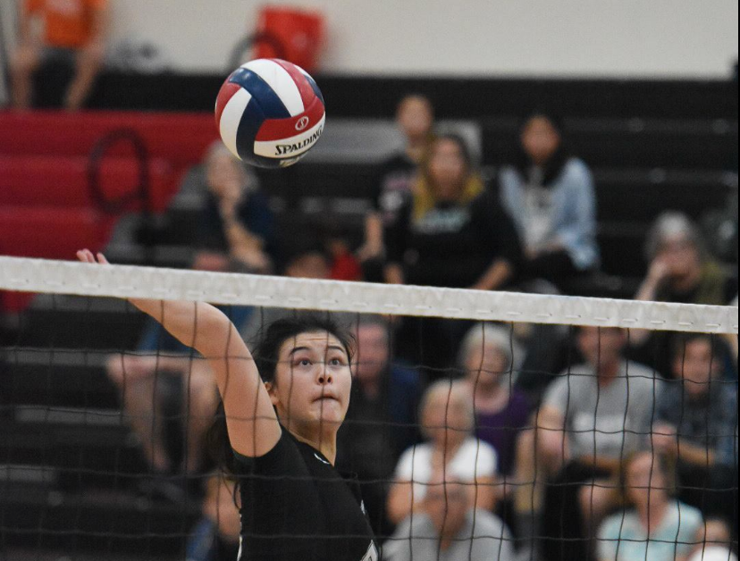 Allison Cartee (12) spikes the ball in todays CCS finals match against Notre Dame High School, held at Gunn High School this evening. The Eagles lost 14-16 in the fifth set.