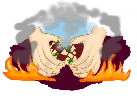 Editorial: Reacting to disasters that affect us