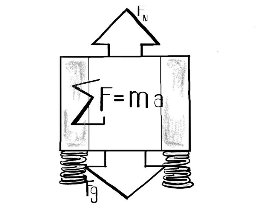 Students qualify to take physics olympiad with strong F=ma results