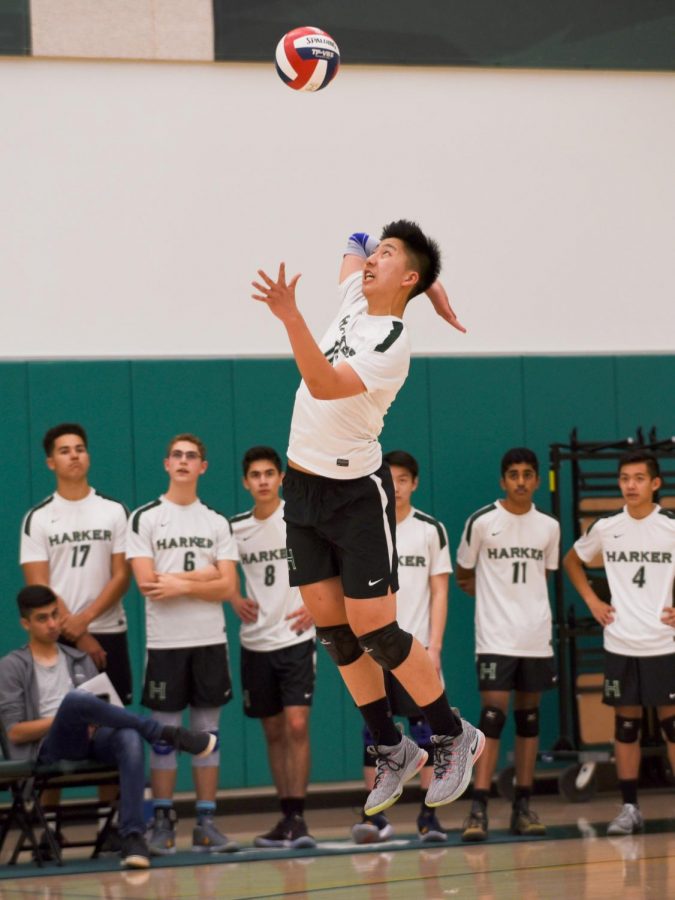 Billy Fan (10) jumps up to hit the volleyball over the net during a game against Homestead on March 4.