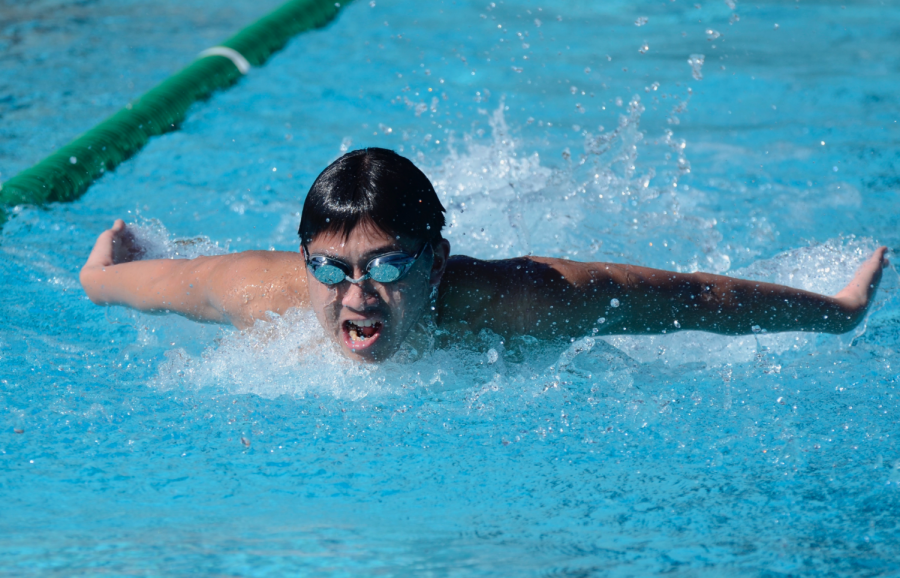 Senior Alex Yu practices his butterfly stroke during swim practice on Monday, March 18. The team continues to prepare for their next meet on Thursday, March 28, as they hope to achieve more CCS qualifications.