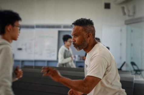 Bringing Capoeira to Life