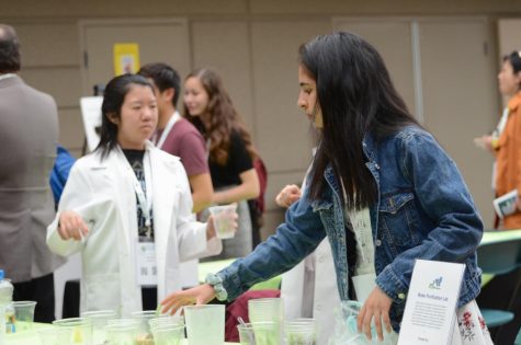 14 years of celebrating innovation and inquiry: diving into a Harker research tradition