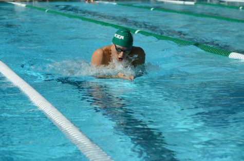 Swimmers post strong results at States