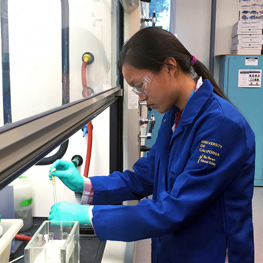 Teresa Cai (10) conducts a chemistry experiment under a fume hood at UCSC. Sixteen Harker students participated in the Summer Internship Program.