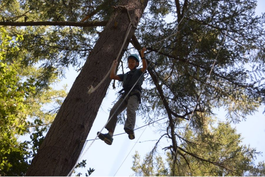 Another one of the ropes course activities involved students walking across a rope between trees.