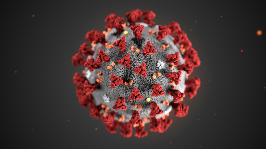 An illustration of the 2019 novel coronavirus, 2019-nCoV, created by the Centers for Disease Control and Prevention.