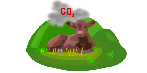 Cattle and carbon: Why I chose to stop eating beef