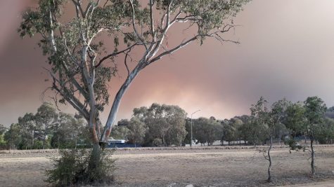 Smoke fills the sky near the property of middle school math teacher Margaret Huntleys sister on the outskirts of the capital city of Canberra. Bushfire smoke consists of water vapor, various-sized particles and toxic gases like nitrous oxide and carbon monoxide.