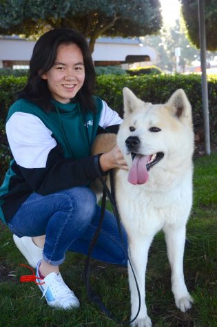 “Especially at Harker, where the academic pressure is very high, I think humor is a very good way to help both my friends and me destress ourselves. In fact, making others laugh gives me a sense of satisfaction, that Ive done something good in the lives of others,” Emma Li (12) said. 