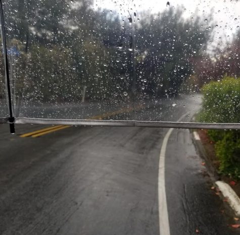 I found the perfect route that gave me the right amount of exercise and provided the most scenic views. It made me feel closer to my neighborhood.