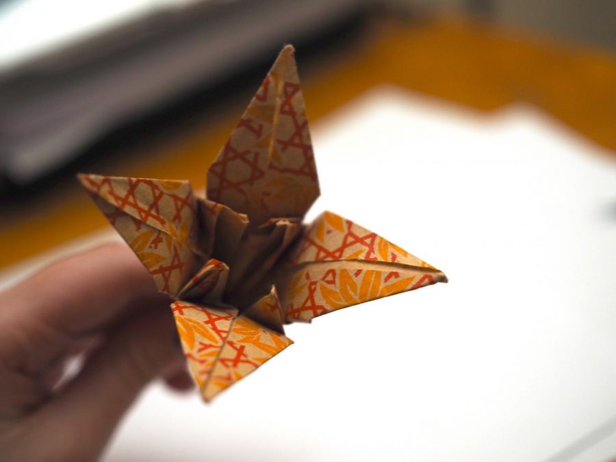 OrigamiTutorial_IM110185