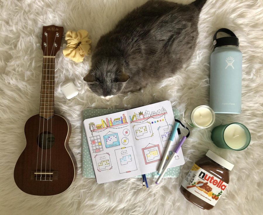 My pandemic survival kit includes my ukulele, my laptop and airpods, my bullet journal, candles, a jar of Nutella and my hydroflask. My cat also keeps me company so I dont go insane from the lack of social interaction during quarantine.